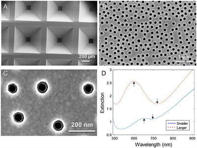 Detecting Selective Protein Binding Inside Plasmonic Nanopores: Toward a Mimic of the Nuclear Pore Complex